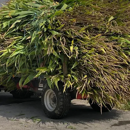 Casa Do Gaio-turismo De Natureza