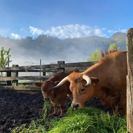 Casa Do Gaio-turismo De Natureza Dom wakacyjny